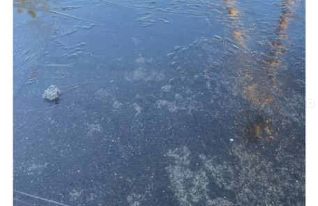 今朝、家の前に氷が